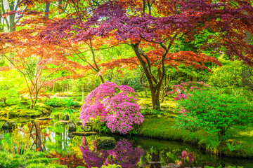 green grass and blooming trees in japanese garden in The Hague, Netherlands, toned