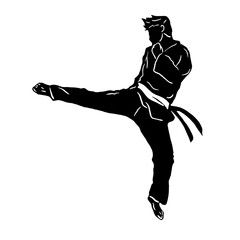   Karate kick and poses of karate techniques. Martial arts. This vector illustrates several poses of karate techniques in Silhouette  illustration.