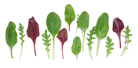 Fresh green leaves of arugula, spinach, chard on a white isolated background. Salad mix
