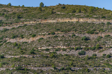 Fototapeta na wymiar A view of a rather rocky and sparsely vegetated mountain slope.