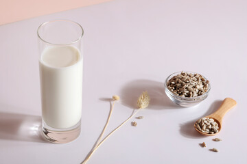 Sunflower seed milk in glass on white background. copy space. Raw diet meal. Healthy vegetarian food and lifestyle. eco friendly product