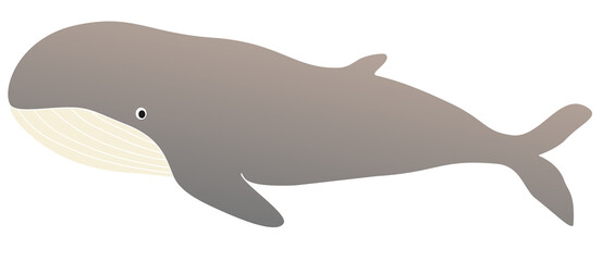 Illustration of cartoon whale vector for Background
