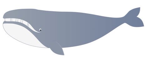 Naklejka premium Illustration of whale vector for design