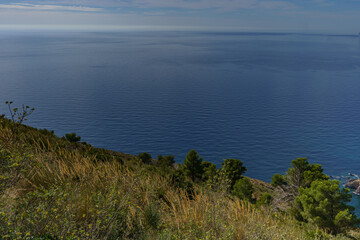 The view from the steep slope covered with lush vegetation and forest to the calm sea