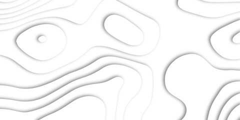 Abstract white paper cut shapes background with shadow and topography map concept, texture. Abstract realistic Papercut decoration background. Abstract papercut wavy white line background.
