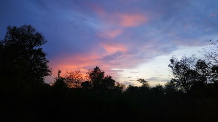 Fototapeta na wymiar Oranges Evening Sky