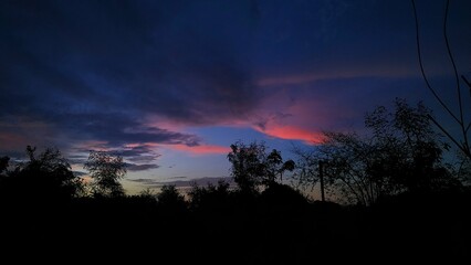 Oranges Evening Sky