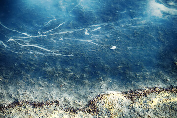 Hydrogen sulfide stagnant salt marsh. Gas turns turbid blue in water on light. All living things...