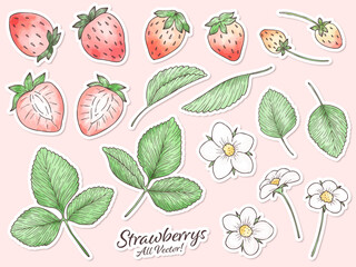 水彩風いちごの主線ありパーツイラスト　白フチシール風ベクター素材