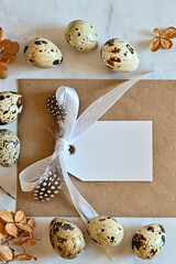 Composition with Easter eggs and branches on wite background.Postcard.