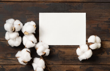 Blank card with cotton flowers top view on dark brown wood, wedding mockup