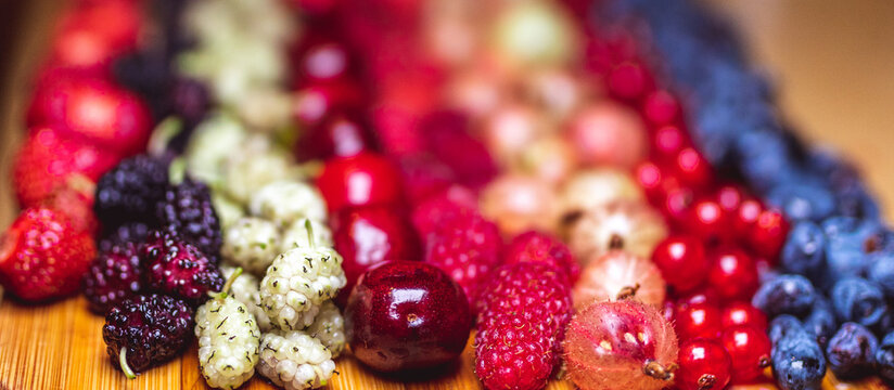 Świeże owoce Fresh Fruits 