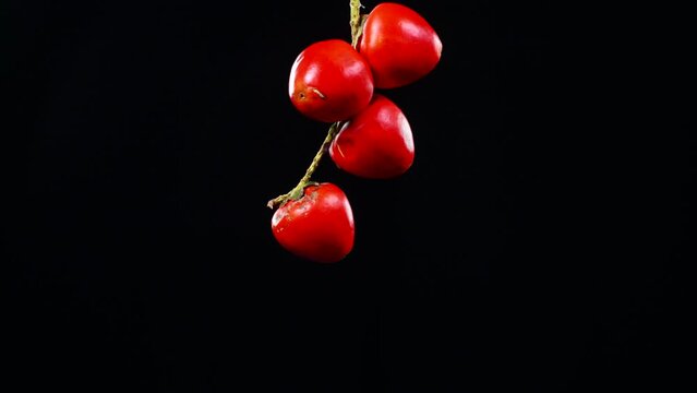 exotic aphrodisiac fruit from the colombian amazon