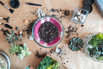 The process of creating a florarium. Pink decorative sand were poured into pot