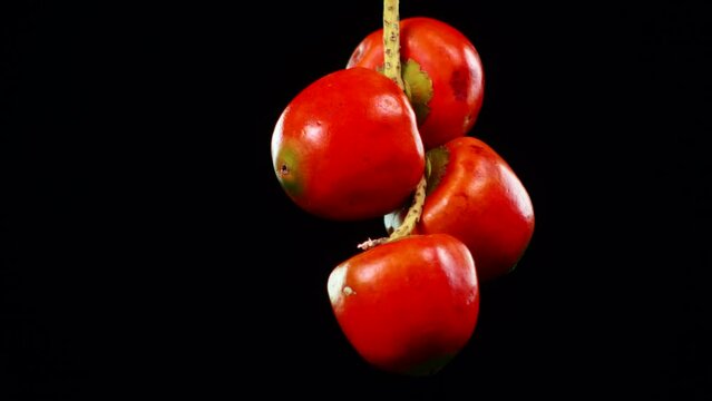 exotic red and yellow amazonian fruit in cluster