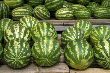 fresh organic watermelons on market