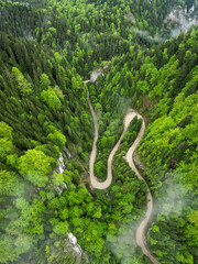 Aerial drone panorama above a narrow canyon winding through wild woodlands. The road is located in Carpathia, Romania. Spring season, the tree leaves are bright green. 
