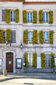 The town hall in the southern french town of Tanneron with mimosa on the shutters
