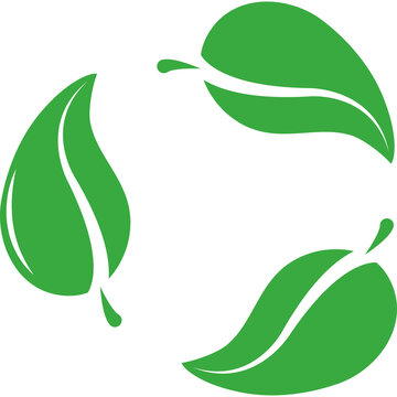 green leaves icon