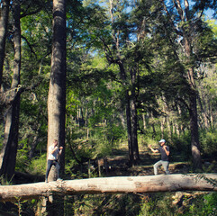Two people standing on top of a fallen tree trunk in the middle of the forest in fighting position about to fight.
