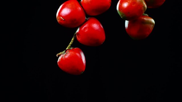 exotic aphrodisiac fruit from the colombian amazon
