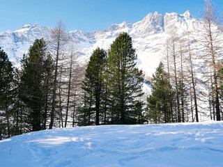 Fototapeta premium Winter in Aosta Valley, Alps Italy. Around Blue lake and Matterhorn.