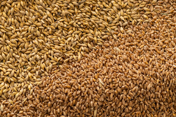 Abstract background from a mixture of cereals