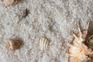 Seashells on natural salt of Crimean Sea as background