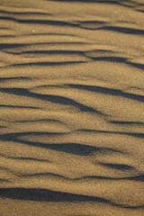 waves of sand formed by the wind in the desert