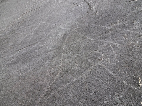 Prehistoric rock carvings, petroglyphs, at Leiknes, showing scenes from hunting, Norway, Scandinavia, Europe