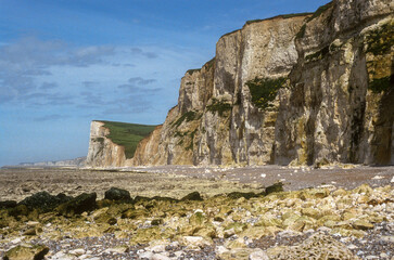 Falaises , Pays de Caux, Normandie, 76, Seine Maritime, France