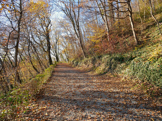 On the paths in autumn around the Crea sanctuary. Piedmont region, Italy.