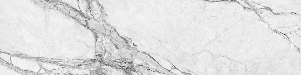 Calacatta carrara marble background