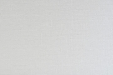 Empty white seamless canvas