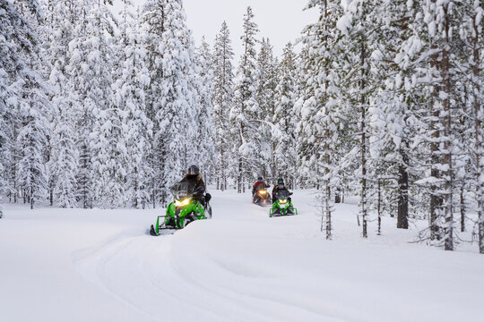 Tourists enjoying snowmobiling in a forest covered with snow in winter, Lapland, Sweden, Scandinavia, Europe