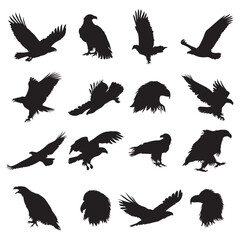 Obraz premium Set of bald eagle silhouette vector illustration