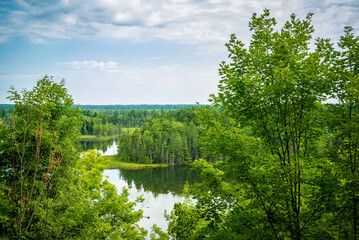 River Pond in Michigan Park Forest woods on Hill