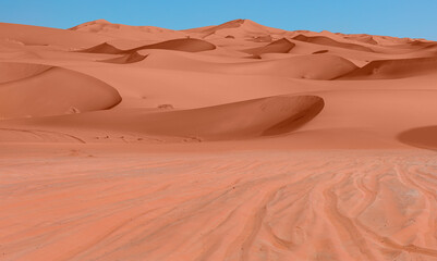 Fototapeta na wymiar Panoramic view of orange sand dune desert with clear blue sky at Namib desert - Namib Naukluft National Park, Namib desert, Namibia 