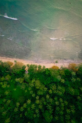 Plage tropical de sable et cocotier (palmiers) à Palawan une ile aux Philippines