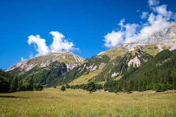 Mountain and pastures landscape in French alps