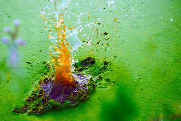 Colorful water pond with green growth splashing