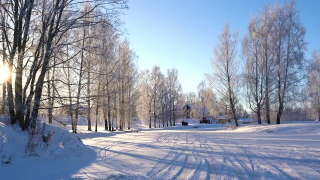 Frozen birch trees and small rural village in distance, winter season with bright sun