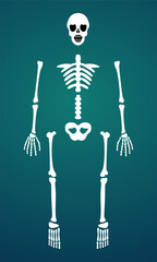 Cute Spooky Human Skeleton Bone Parts DIY Set