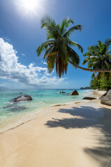 The beach on Paradise Island. Tropical beach with coconut palms, rocks and turquoise sea in Seychelles island.