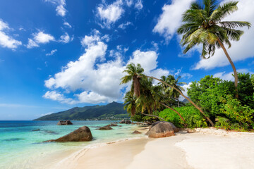 The beach on Paradise Island. Tropical beach with coconut palms, rocks and turquoise sea in Seychelles island. - 567438433