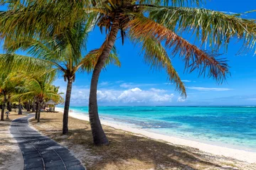 Fotobehang Le Morne, Mauritius Promenade alley in tropical beach with palm trees and  turquoise sea