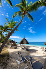 Palm trees in tropical resort. Tropical sunny beach and tropical sea in Mauritius island.