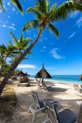Photo sur Aluminium Le Morne, Maurice Palm trees in tropical resort. Tropical sunny beach and tropical sea in Mauritius island.