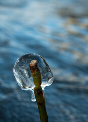 Ice sculptures at saale river in jena at a sunny day