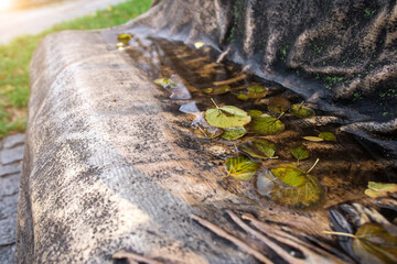 leaves in water on a snowy bench after rain in autumn